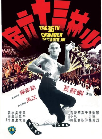 دانلود فیلم The 36th Chamber of Shaolin 1978