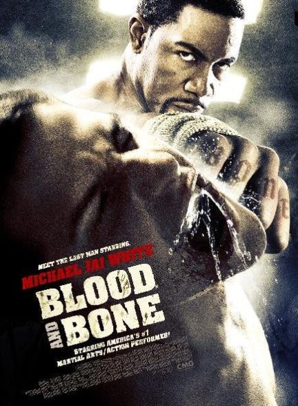 دانلود فیلم Blood and Bone 2009