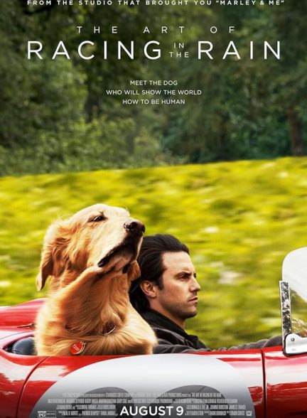 دانلود فیلم The Art of Racing in the Rain 2019