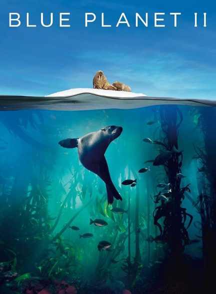 دانلود سریال 2017 Blue Planet II