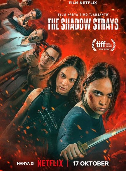 دانلود فیلم ولگردهای سایه | The Shadow Strays 2024