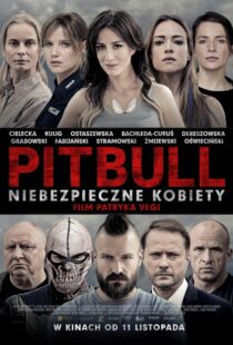 دانلود فیلم پیتبول: زنان سرسخت | Pitbull: Tough Women 2016