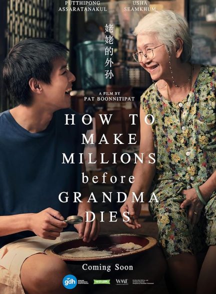 دانلود فیلم چگونه قبل از مرگ مادربزرگ میلیونر شویم 2024  How to Make Millions Before Grandma Dies
