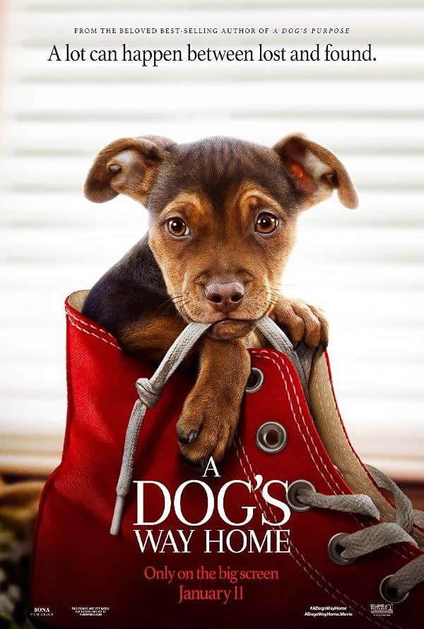 مسیر بازگشت یک سگ به خانه | A Dog’s Way Home