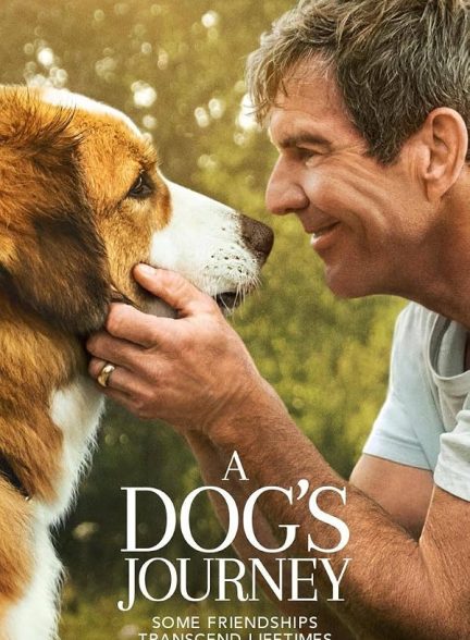 فیلم سفر یک سگ 2019 A Dog’s Journey