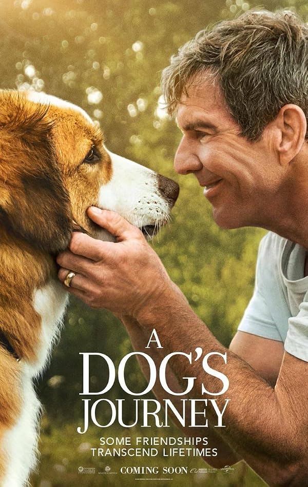سفر یک سگ 2019 A Dog’s Journey