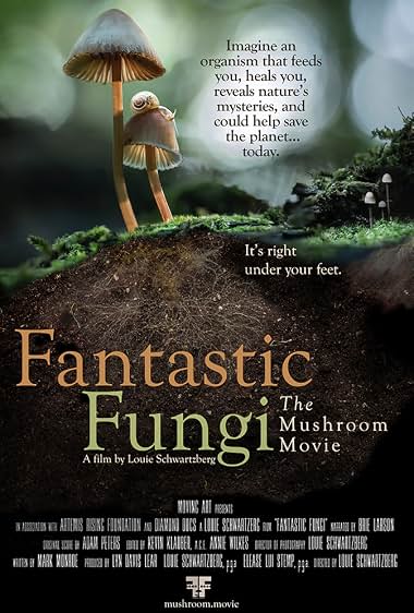 دانلود فیلم قارچ های خارق العاده 2019  Fantastic Fungi