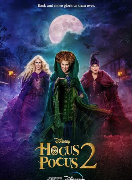 فیلم هوکس پوکس